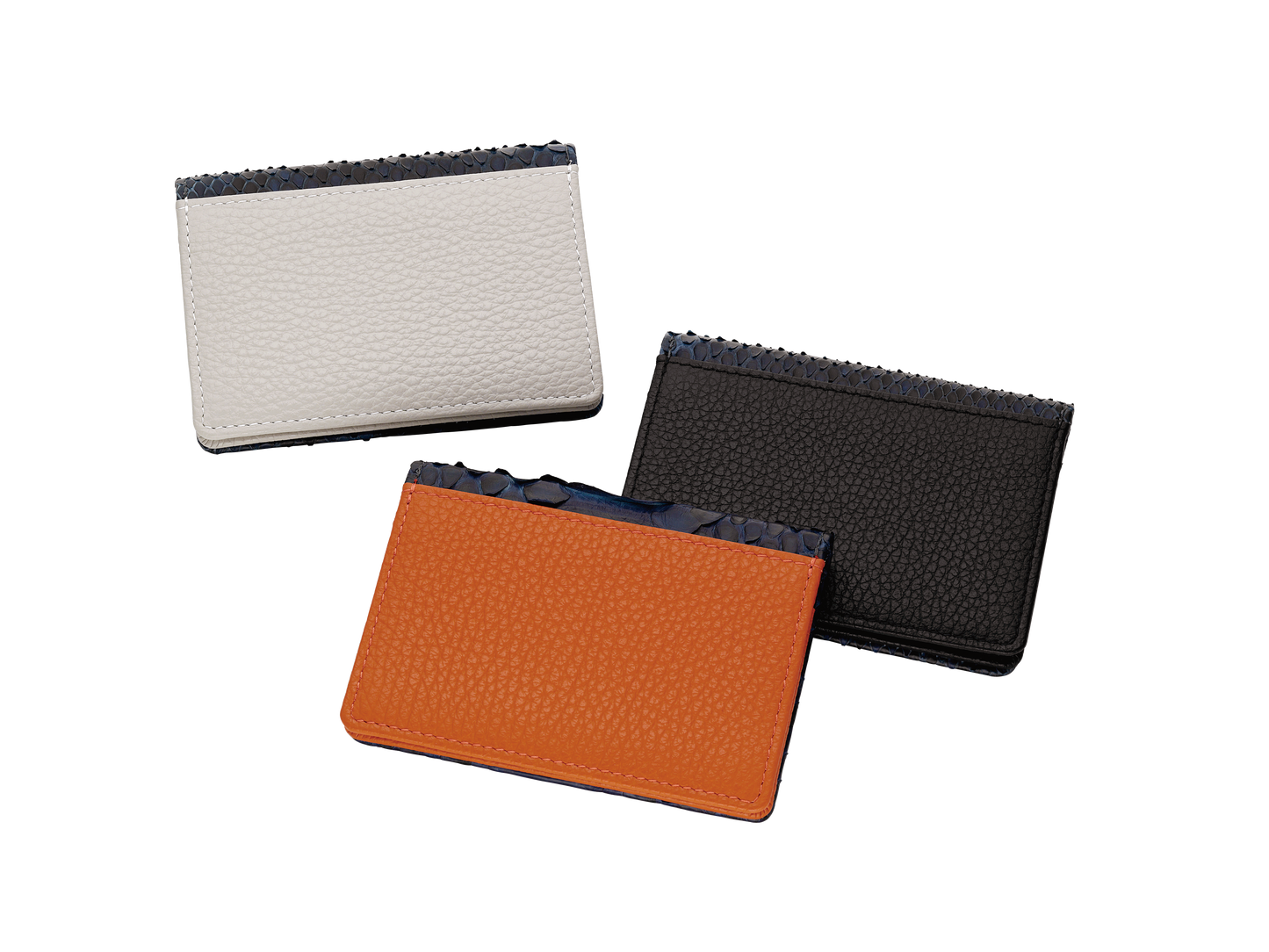 藍染パイソン「PYTHON BLUE」カードホルダー バックカット
