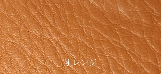 藍染パイソン「PYTHON BLUE」コインケース フロントカット