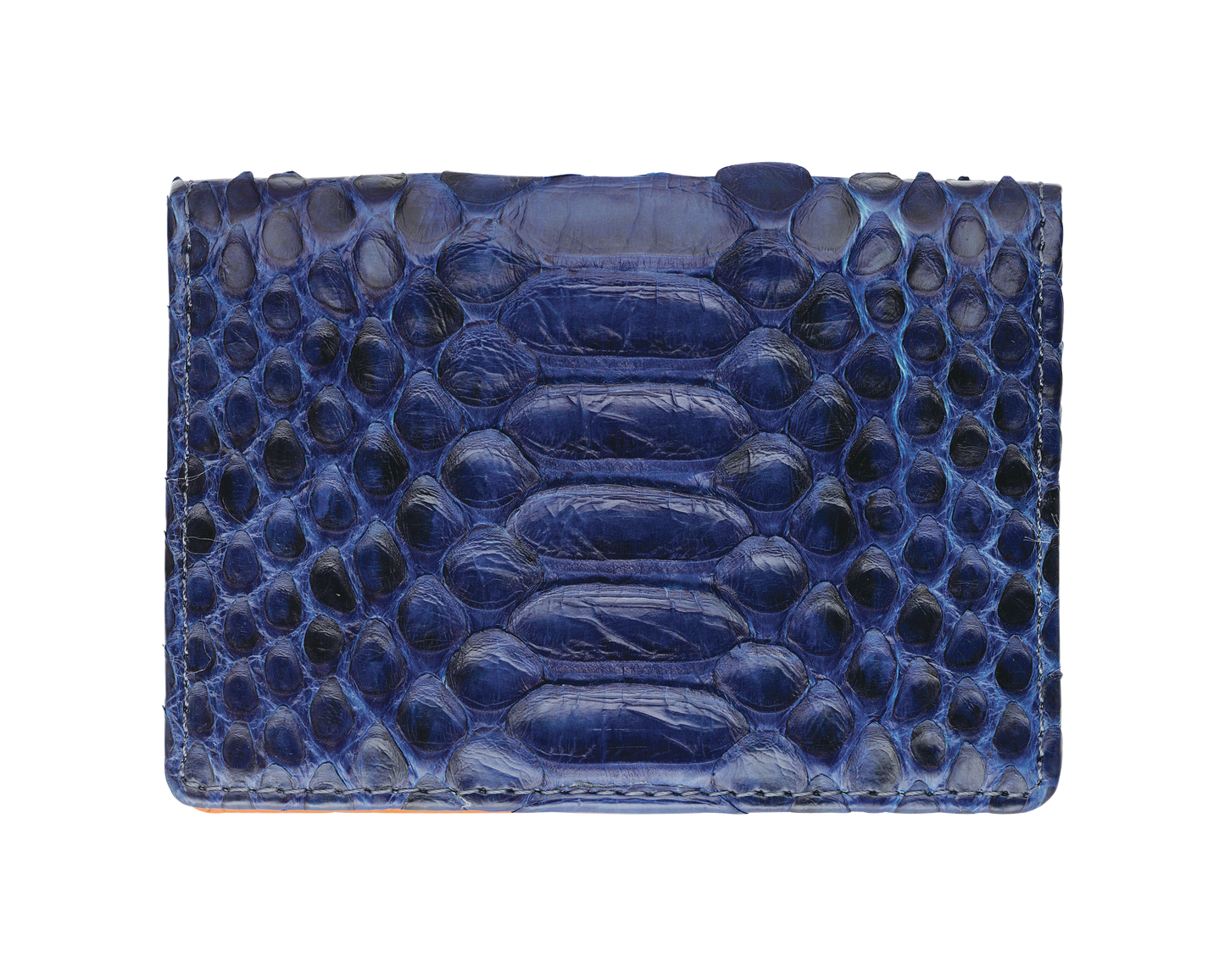 藍染パイソン「PYTHON BLUE」カードホルダー バックカット
