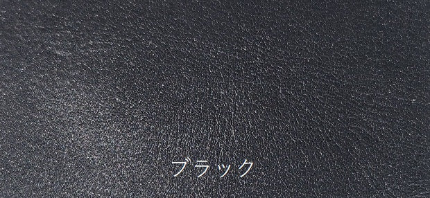 藍染パイソン「PYTHON BLUE」コインケース フロントカット