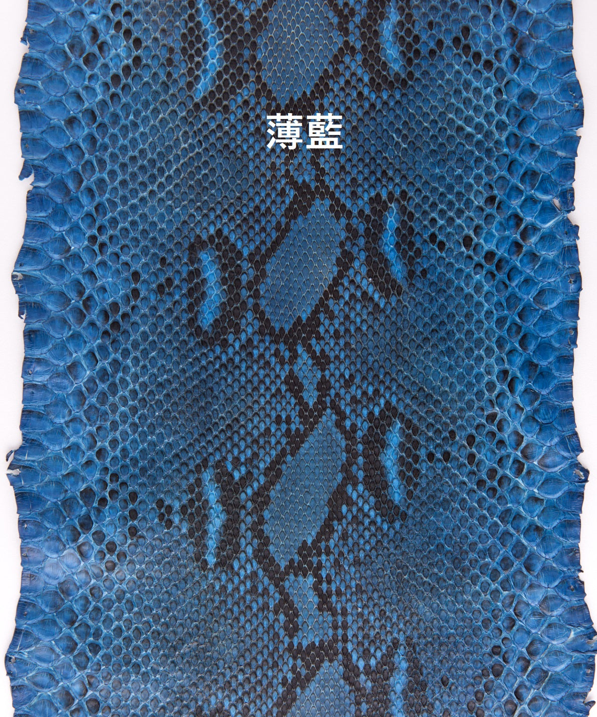 PULAU BLUE フラグメントケース 藍染 パイソン 牛革 藍染パイソン「PYTHON BLUE」フラグメントケース フロントカット