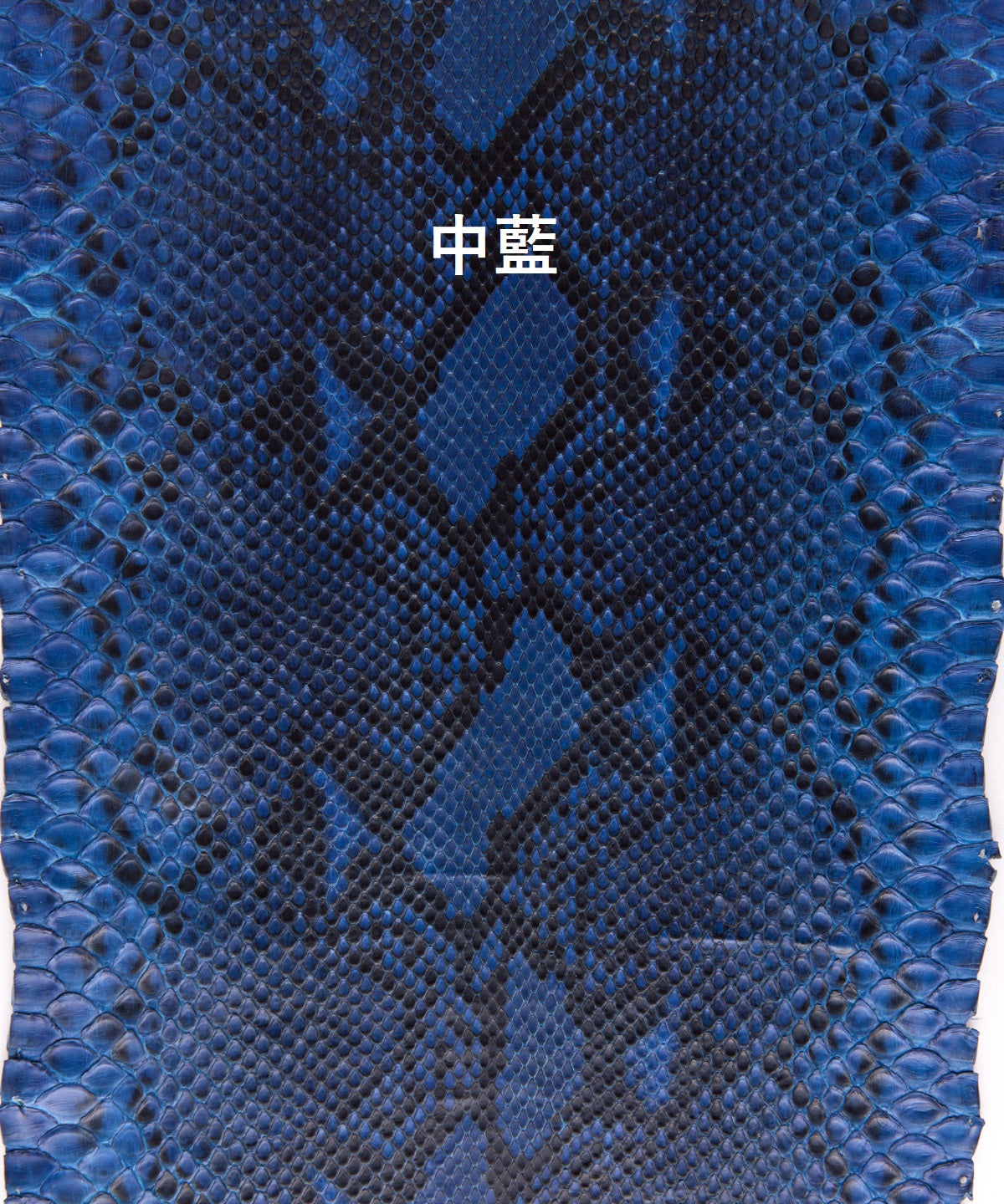 藍染パイソン「PYTHON BLUE」ロングウォレット　フロントカット