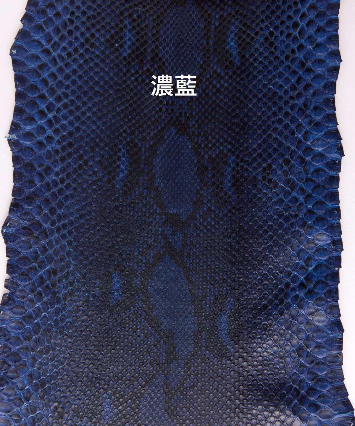 藍染パイソン「PYTHON BLUE」ロングウォレット　フロントカット