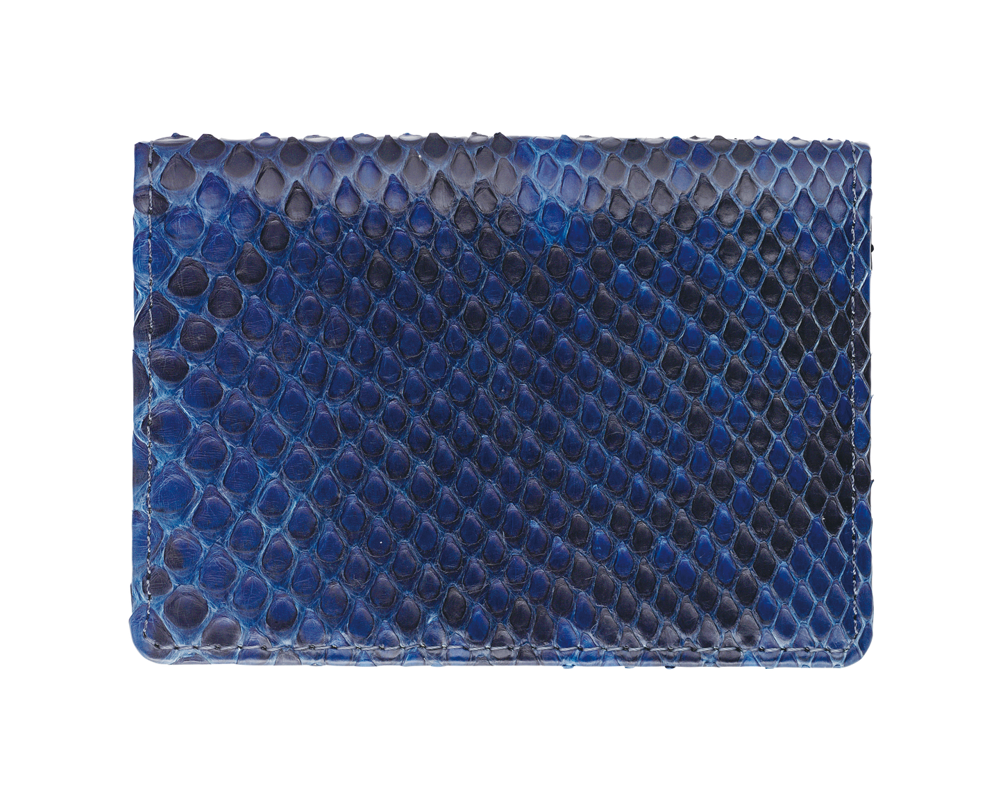 藍染パイソン「PYTHON BLUE」カードホルダー　フロントカット